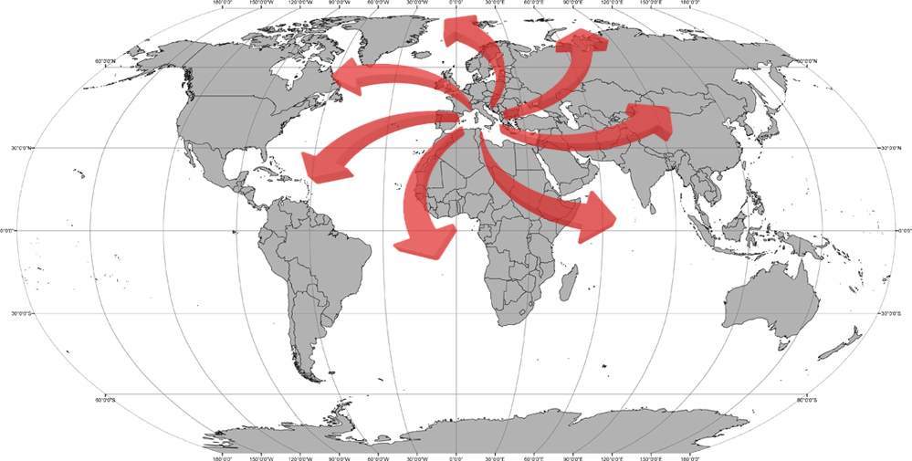 Esportiamo in tutto il mondo